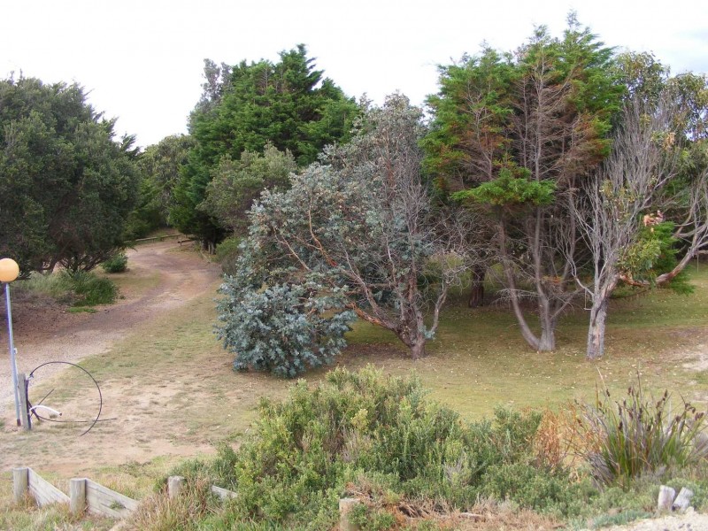 1457 Dolphin Sands Rd, Swansea TAS 7190