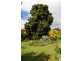 13511 Tasman Highway, Swansea TAS 7190