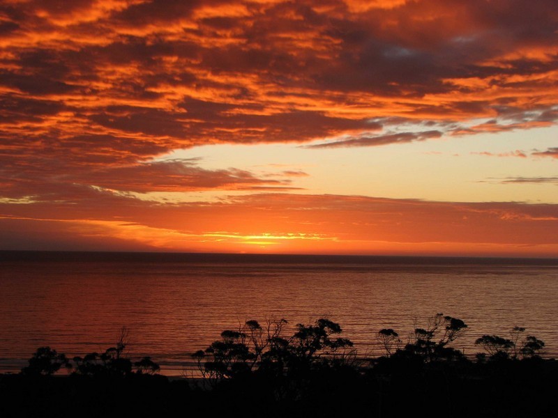 18067 Tasman Highway, Bicheno TAS 7215