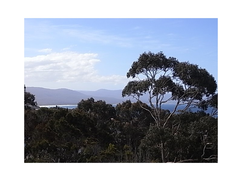 3/32 Douglas Street, Bicheno TAS 7215