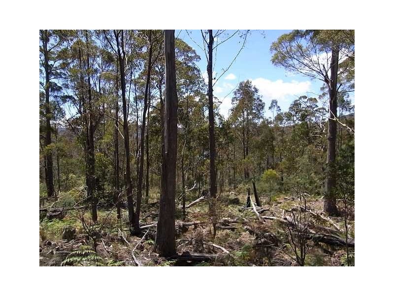 Lot 4 Little Spit Road, Lake Leake TAS 7210