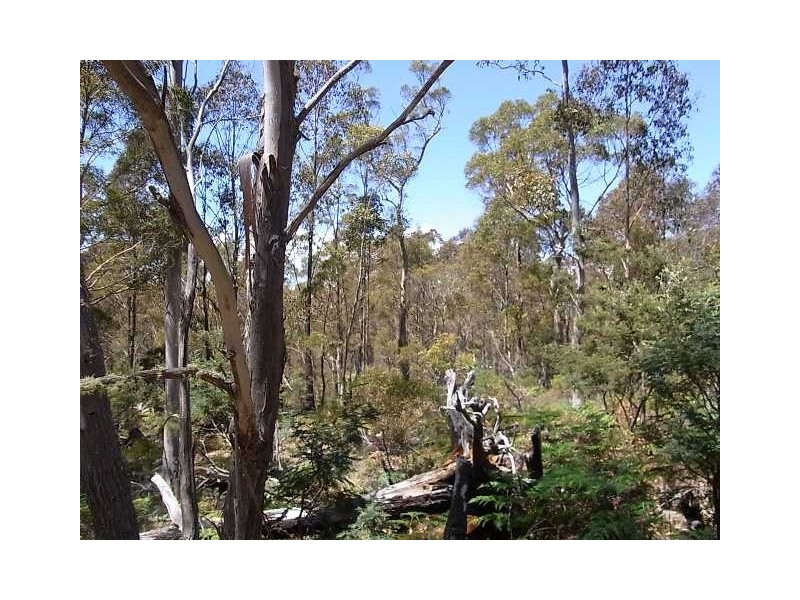 Lot 4 Little Spit Road, Lake Leake TAS 7210