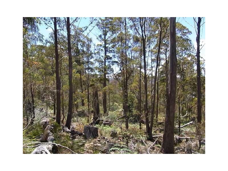 Lot 4 Little Spit Road, Lake Leake TAS 7210