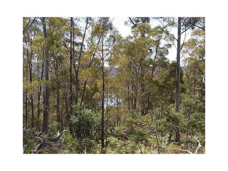 Lot 4 Little Spit Road, Lake Leake TAS 7210