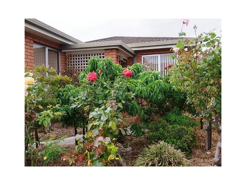 2 Glen Gala Road, Cranbrook TAS 7190