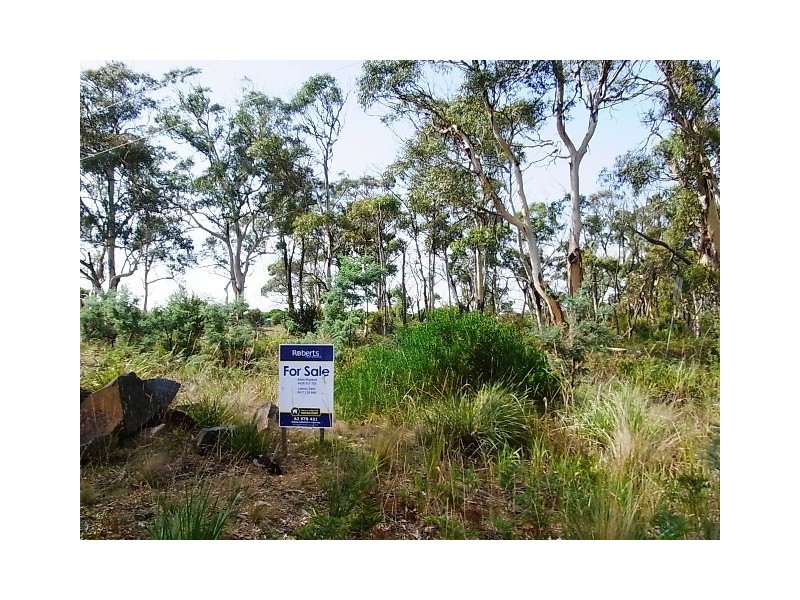 71 Cambria Drive, Swansea TAS 7190