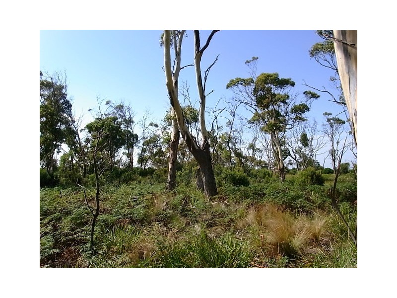 71 Cambria Drive, Swansea TAS 7190