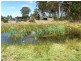 14 Kalangadoo Road, Lake Leake TAS 7210