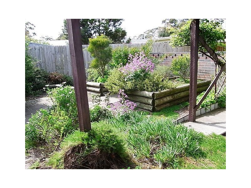61 Tasman Highway, Orford TAS 7190