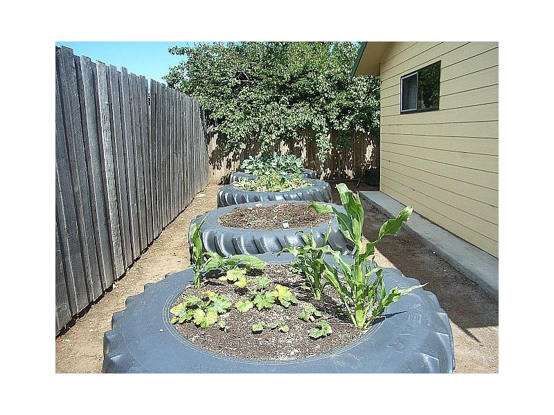 6 Wellington St, Swansea TAS 7190