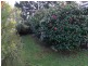 0 “Cranbrooksyde House”, Swansea TAS 7190