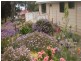 13 Mercury Place, Orford TAS 7190