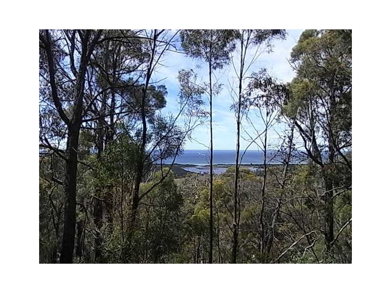 Lot 6 Barnard Drive, Bicheno TAS 7215