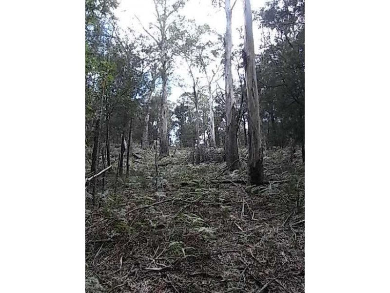 Lot 6 Barnard Drive, Bicheno TAS 7215