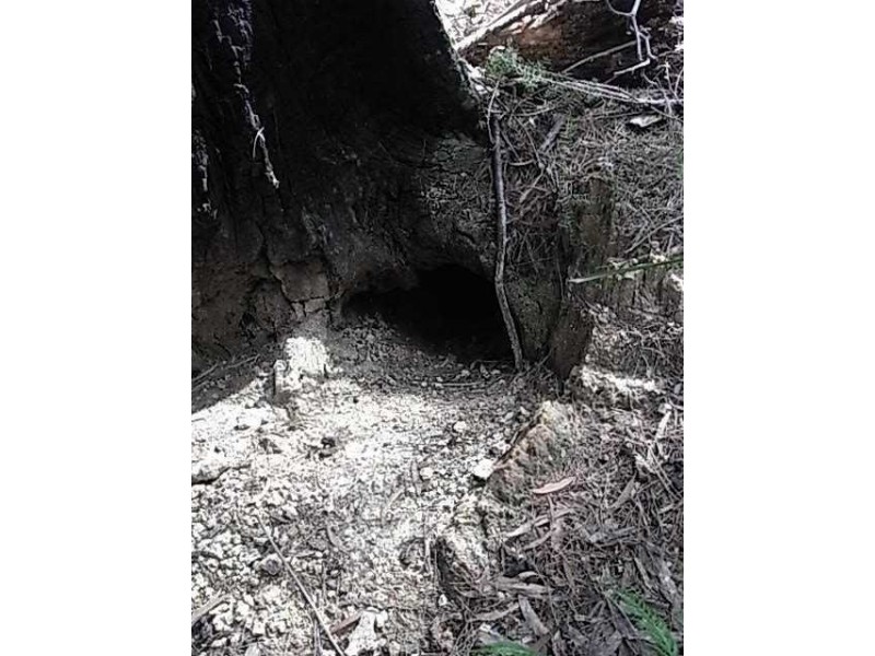 Lot 6 Barnard Drive, Bicheno TAS 7215