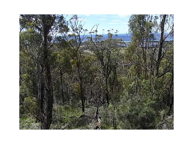 Lot 6 Barnard Drive, Bicheno TAS 7215