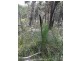 Lot 6 Barnard Drive, Bicheno TAS 7215