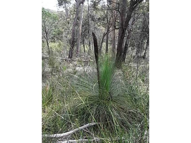 Lot 6 Barnard Drive, Bicheno TAS 7215