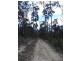 Lot 6 Barnard Drive, Bicheno TAS 7215