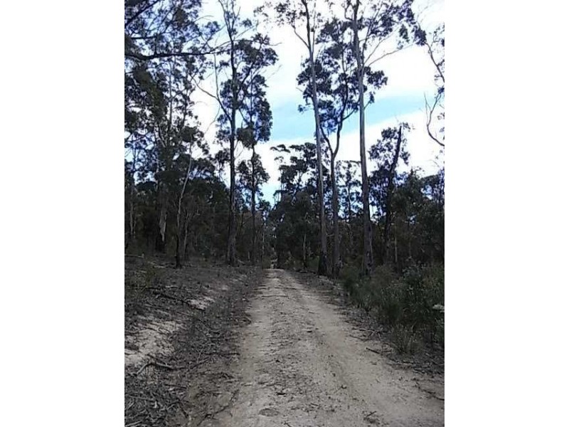 Lot 6 Barnard Drive, Bicheno TAS 7215