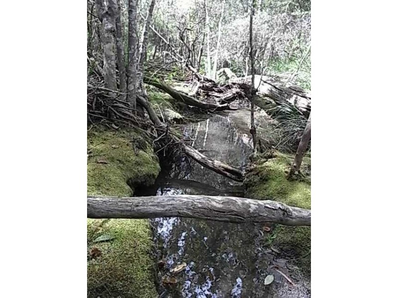 Lot 6 Barnard Drive, Bicheno TAS 7215