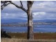 1150 Coles Bay Road, Coles Bay TAS 7215