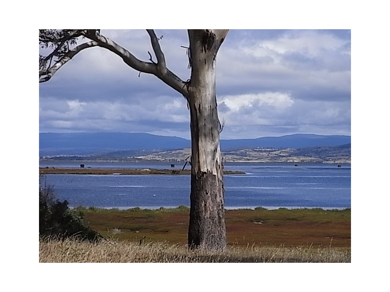 1150 Coles Bay Road, Coles Bay TAS 7215