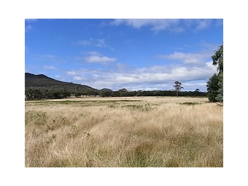 1150 Coles Bay Road, Coles Bay TAS 7215