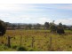 Lot 1 Strip Road, Little Swanport TAS 7190