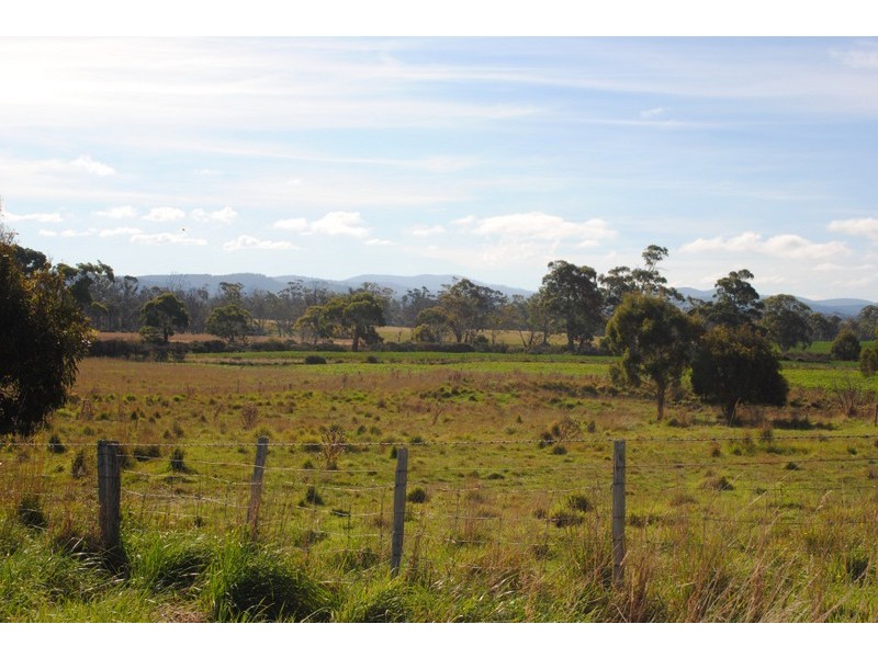 Lot 1 Strip Road, Little Swanport TAS 7190