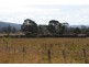 Lot 1 Strip Road, Little Swanport TAS 7190