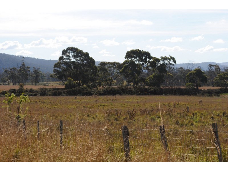 Lot 1 Strip Road, Little Swanport TAS 7190