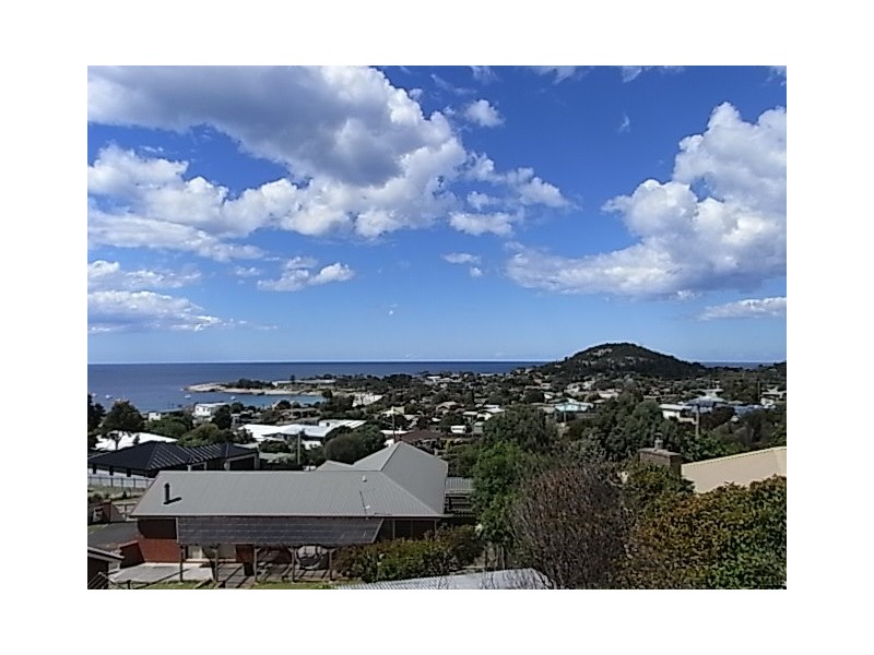 24 Banksia Street, Bicheno TAS 7215