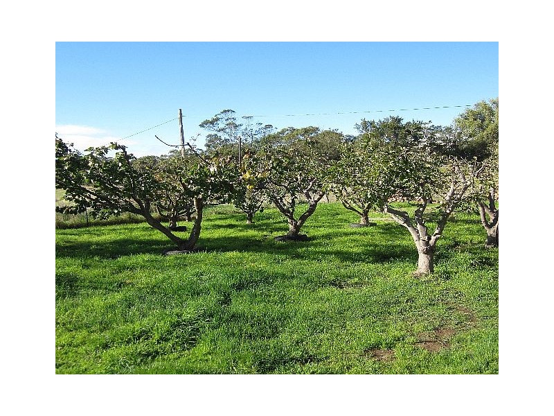 1 Burgess Street, Swansea TAS 7190