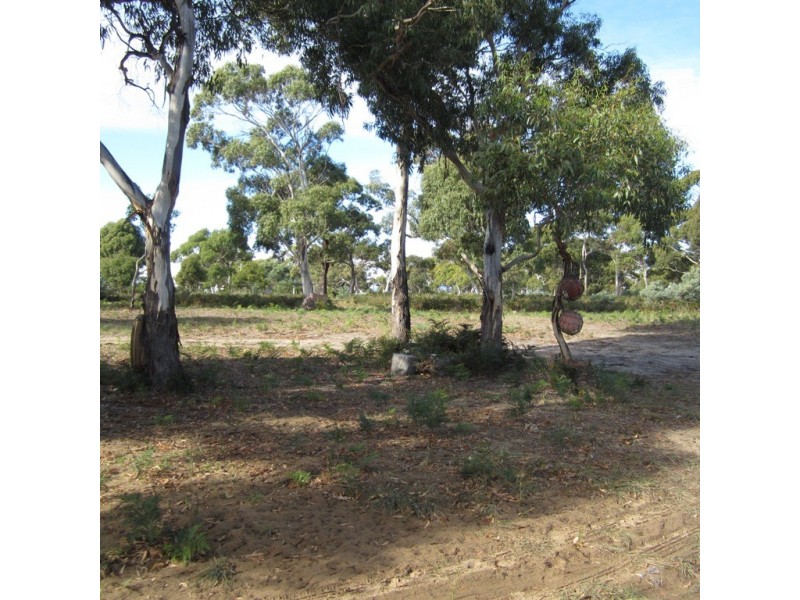 76 Cambria Drive, Swansea TAS 7190