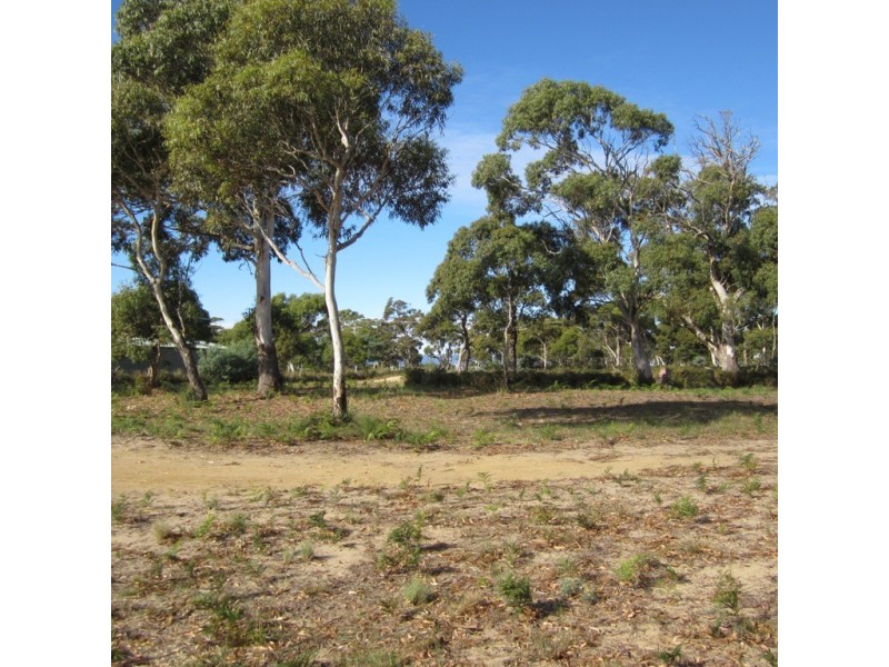 76 Cambria Drive, Swansea TAS 7190