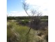 Lot 134 Dolphin Sands Road, Dolphin Sands TAS 7190