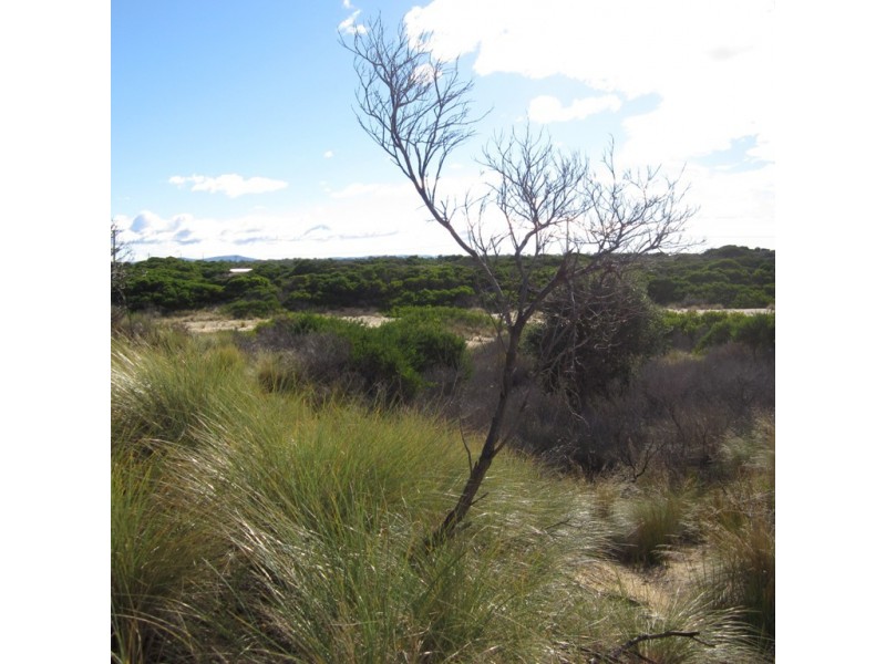 Lot 134 Dolphin Sands Road, Dolphin Sands TAS 7190