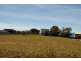 Lot 19 St Margarets Court, Swansea TAS 7190