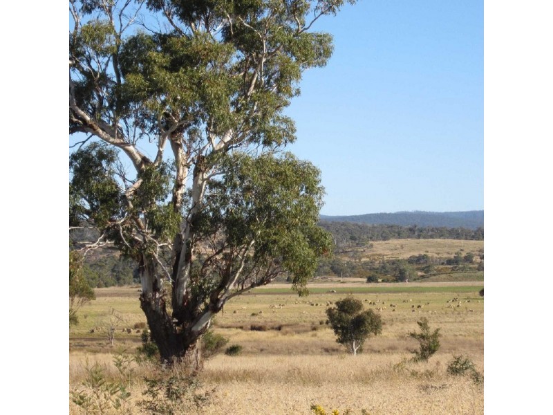 Lot 201 Maria Street, Swansea TAS 7190