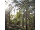 32 Little Spit Road, Lake Leake TAS 7210