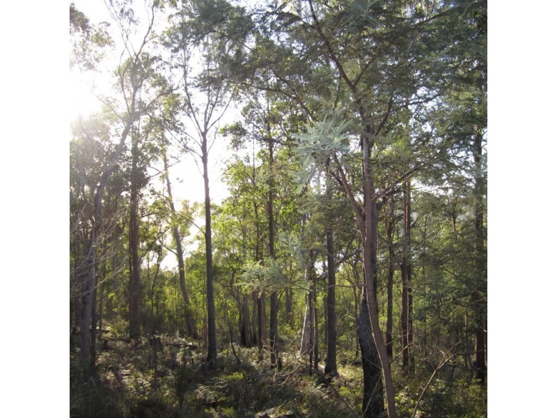 32 Little Spit Road, Lake Leake TAS 7210