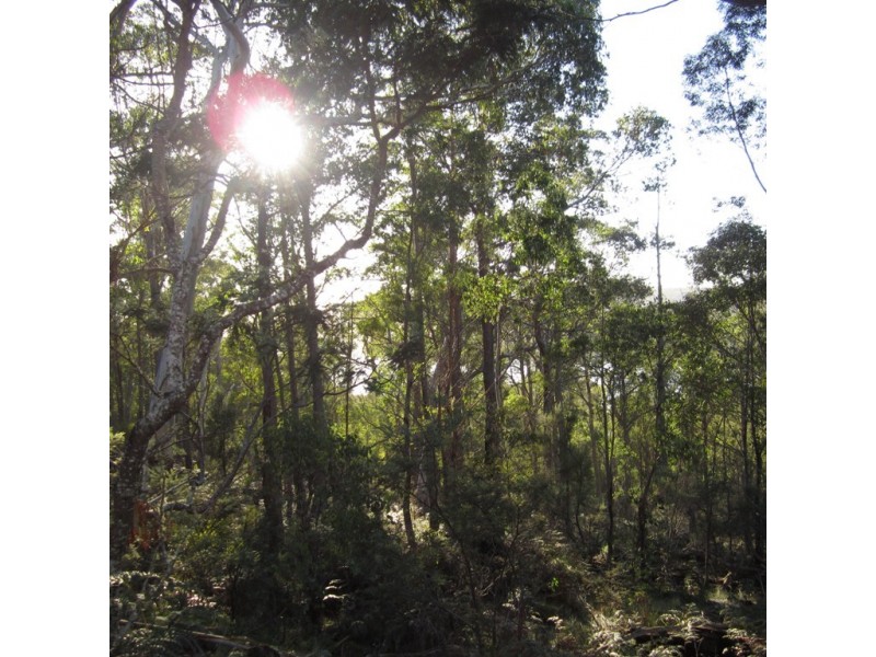 32 Little Spit Road, Lake Leake TAS 7210