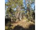 32 Little Spit Road, Lake Leake TAS 7210