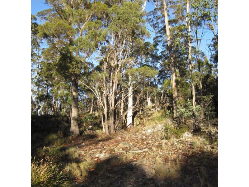 32 Little Spit Road, Lake Leake TAS 7210