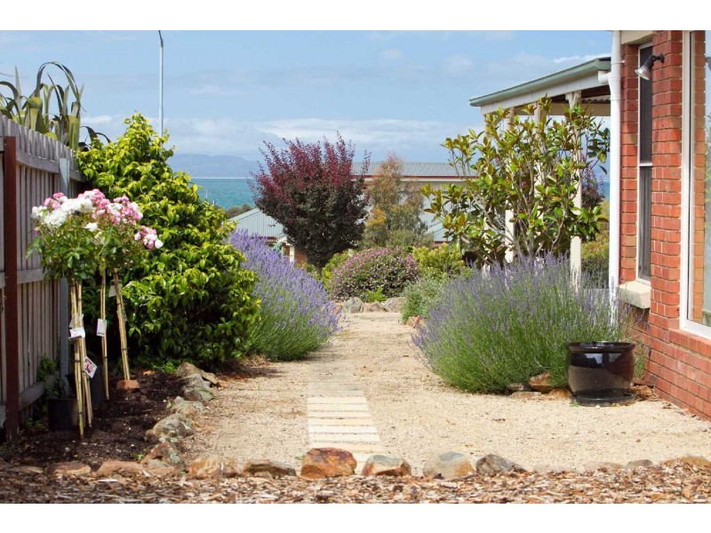 4 Freycinet Court, Swansea TAS 7190
