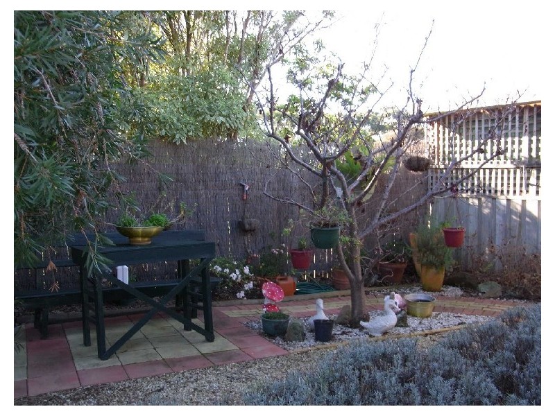 6 Waterloo Road, Swansea TAS 7190