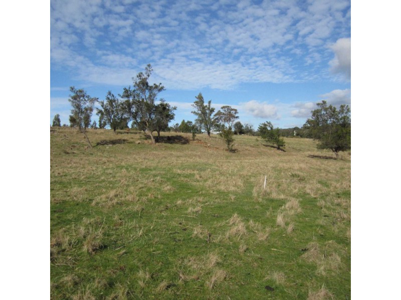 5 Murray Street, Swansea TAS 7190