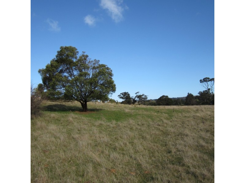 5 Murray Street, Swansea TAS 7190