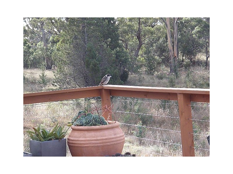10501 Tasman Highway, Swansea TAS 7190